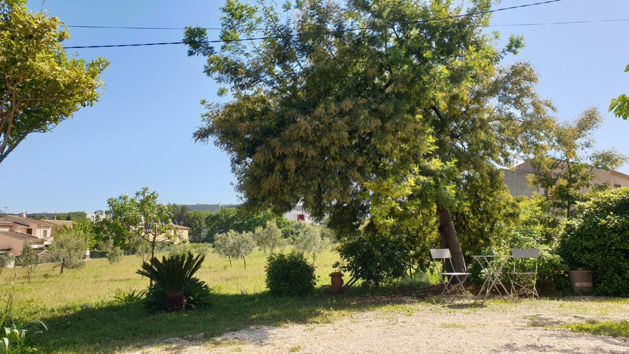 L'oliveraie Apartamento