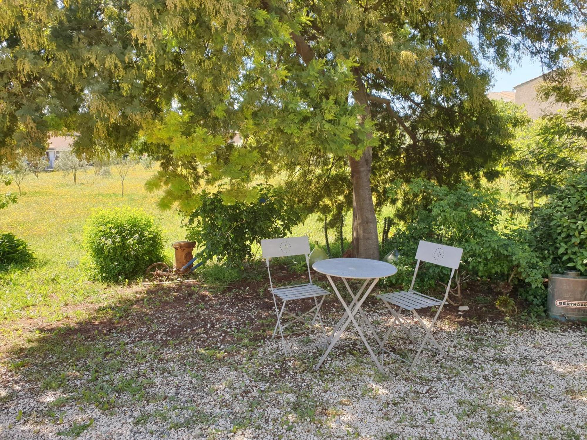 L'oliveraie Apartment *